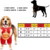 Basketball Hundekostüm