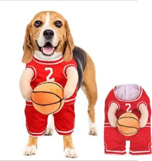 Basketball Hundekostüm