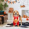 Basketball Hundekostüm