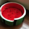 Wassermelonenbett Haustiere