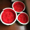 Wassermelonenbett Haustiere