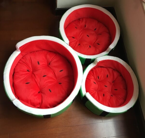 Wassermelonenbett Haustiere
