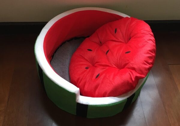 Wassermelonenbett Haustiere