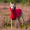 Winter Polar Fleece High Collar Soft Italian Greyhound Whippet Dog Clothing