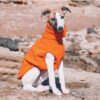 Winter Polar Fleece High Collar Soft Italian Greyhound Whippet Dog Clothing